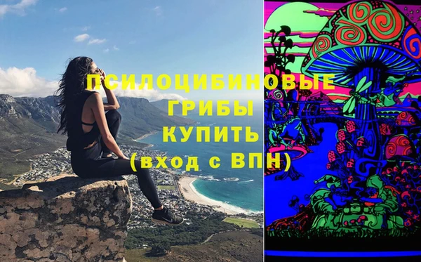 амф Нея