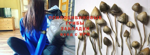 2c-b Нефтегорск