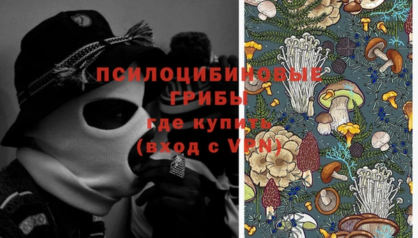 2c-b Нефтегорск