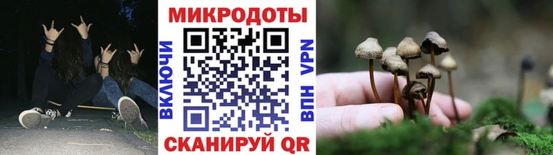 Галлюциногенные грибы MAGIC MUSHROOMS МЕГА зеркало Отрадное наркота